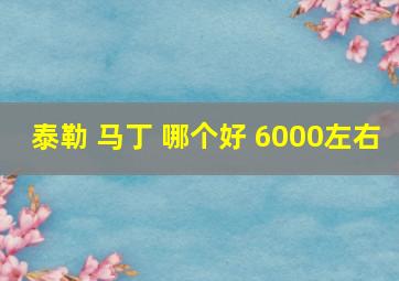 泰勒 马丁 哪个好 6000左右